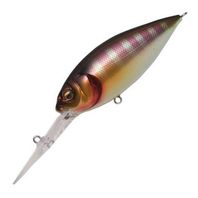 ディープX 300 [新品]