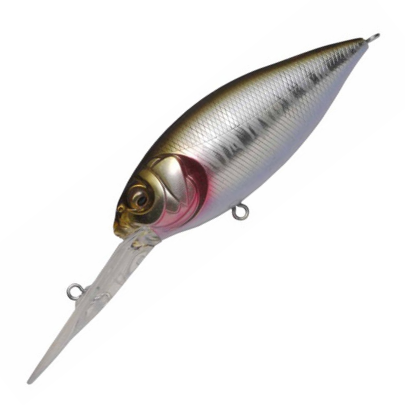 ディープX 300 [新品]