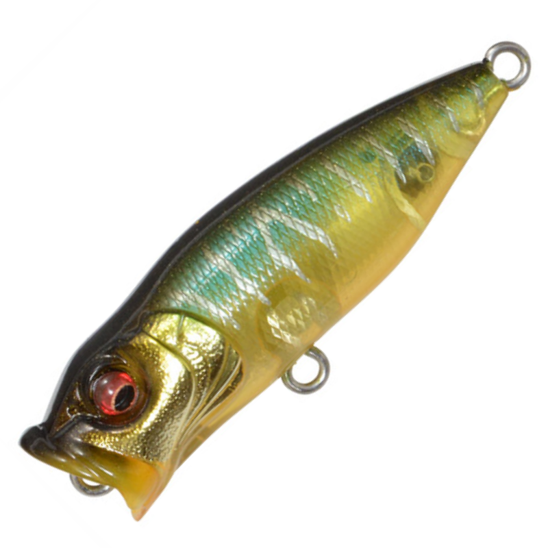 ベイビー ポップX [新品]
