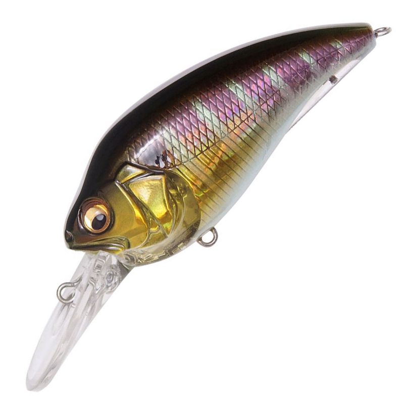 4513473482090_1_1080x.png?v=