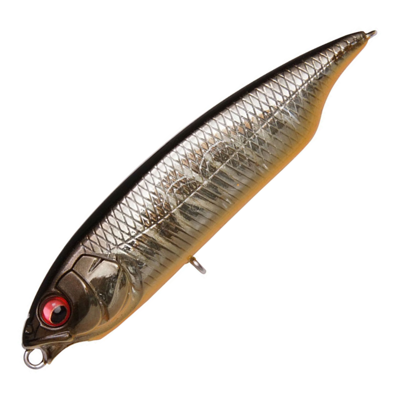 カラシ [新品]