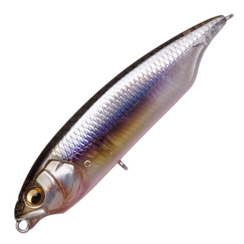 カラシ [新品]