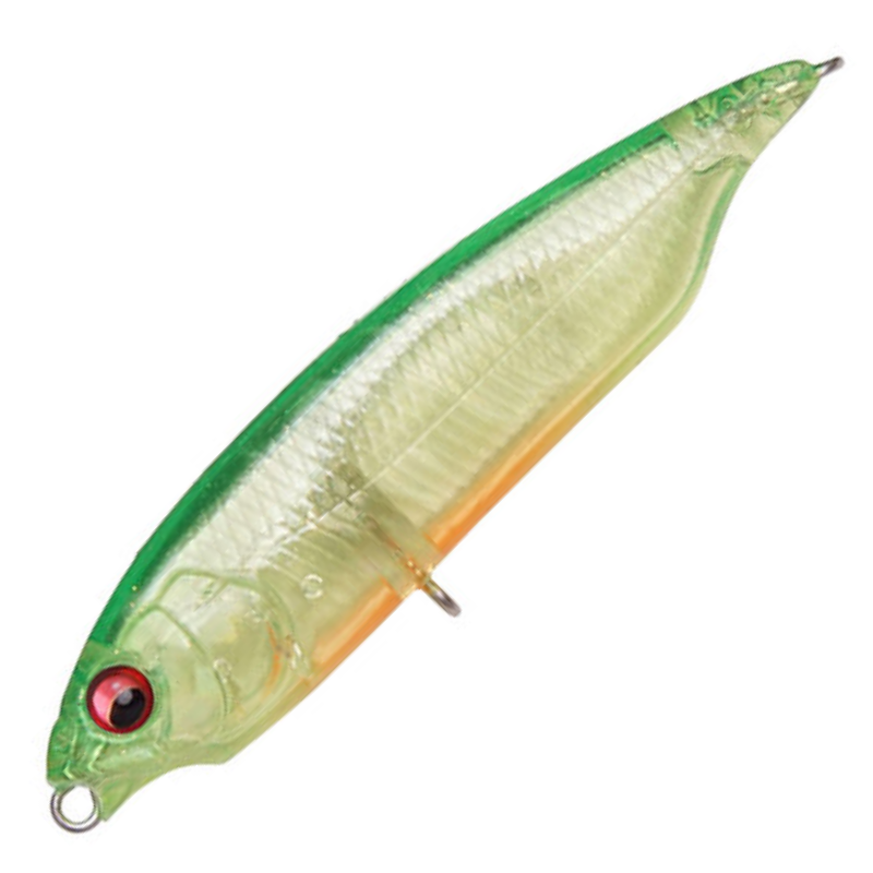カラシ [新品]