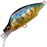 GH44 バタフライ [新品]