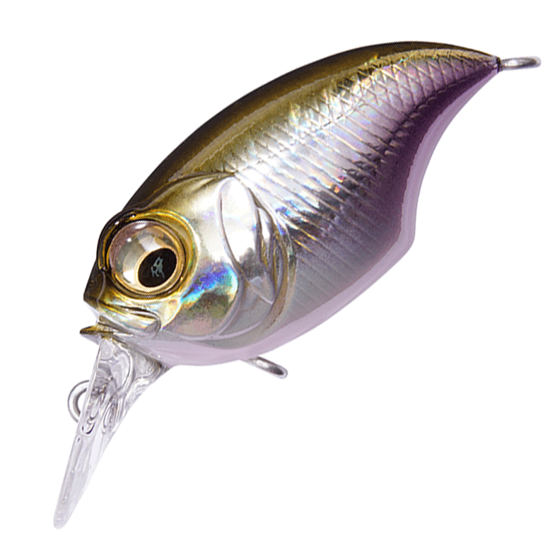 頂点神帝カイルス・グリフォン 3枚③ 頂点神帝カイルス・グリフォン 3 頂点神帝カイルス・グリフォン 3枚③ 頂点神帝カイルス・グリフォン 3