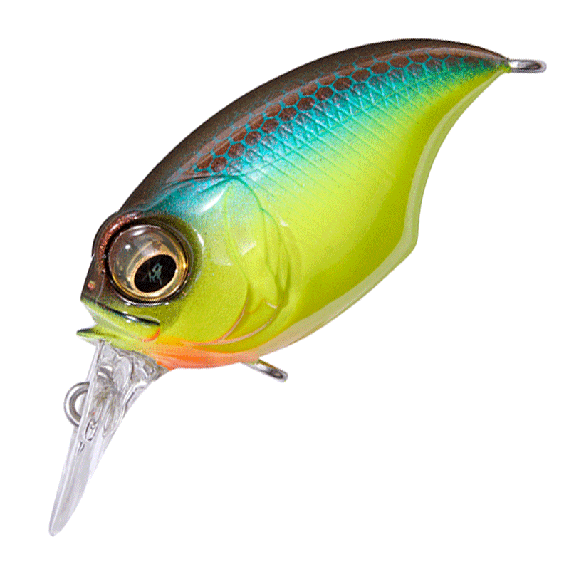 芸能人 愛用の通販 メガバス SR-Xグリフォン 新品33個 2002年頃 芸能人 愛用の通販 メガバス SR-Xグリフォン 新品33個 2002年頃