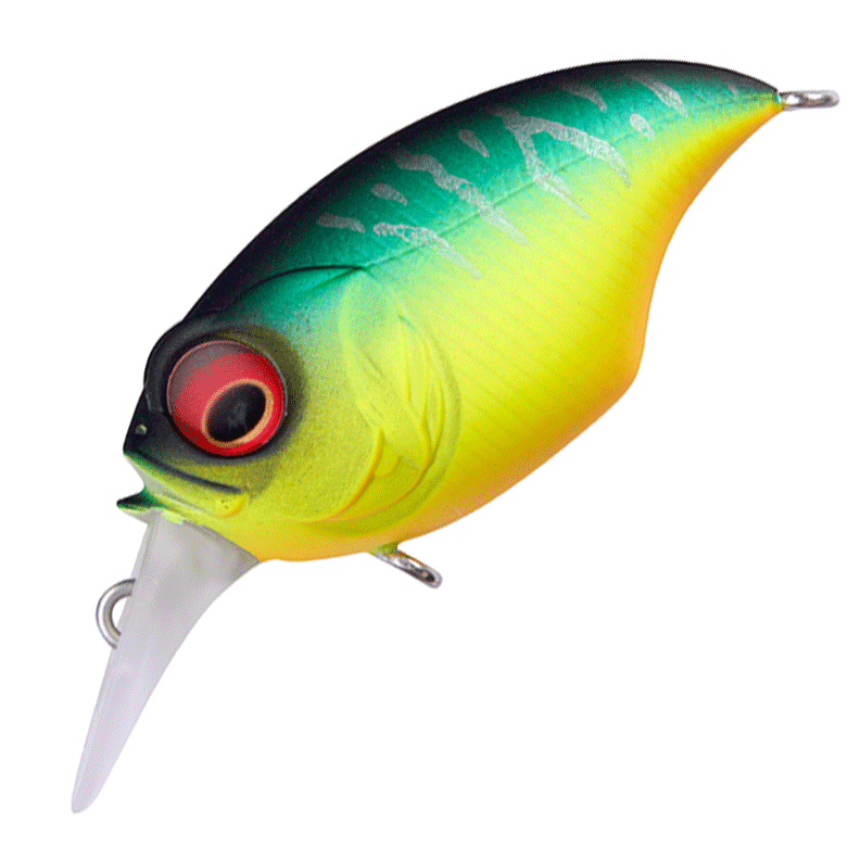 18-9 SR-X GRIFON 多種 5個セット 18-9 SR-X GRIFON 多種 5個セット SR-X グリフォン (3代目