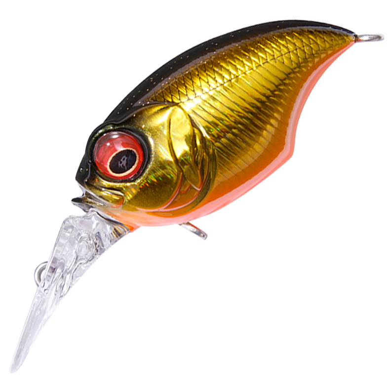 メガバス CV custom limited MR-X グリフォン 姫 新品 Amazon.co メガバス CV custom limited MR-X グリフォン 姫 新品 Amazon.co