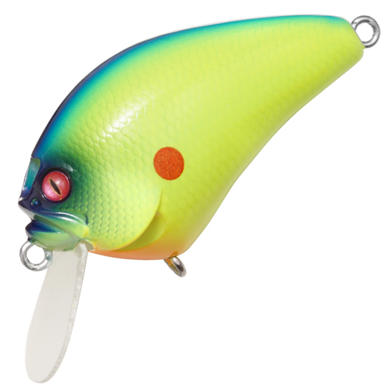 I x Iブローリー [新品]