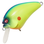 I x Iブローリー [新品]
