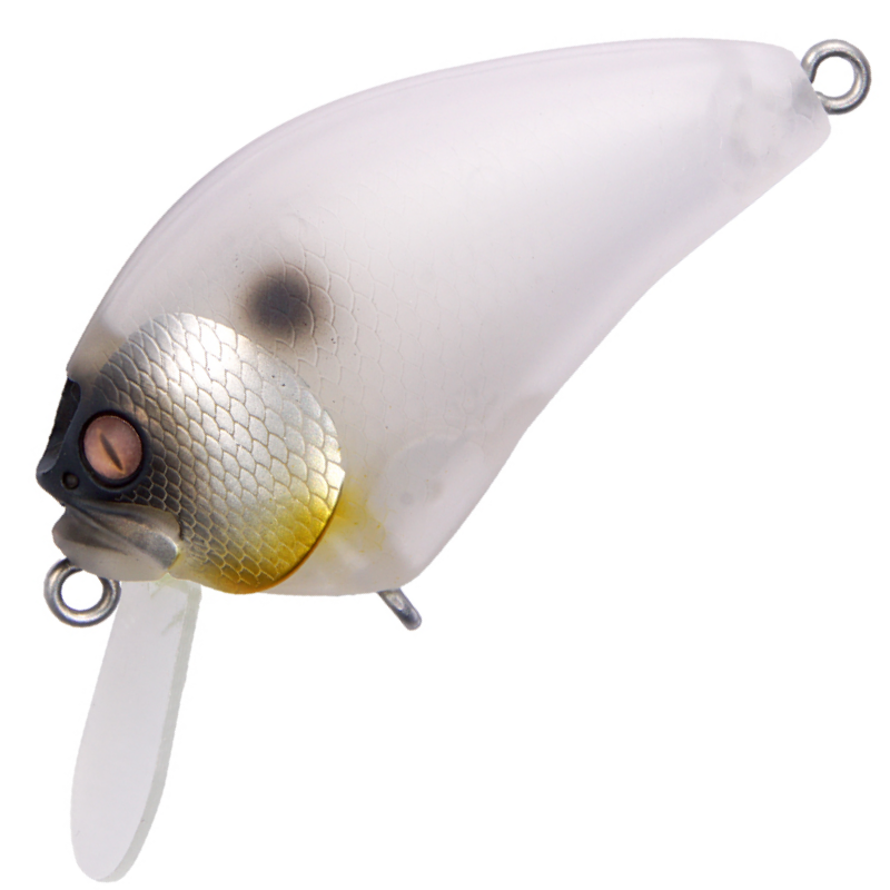 I x Iブローリー [新品]