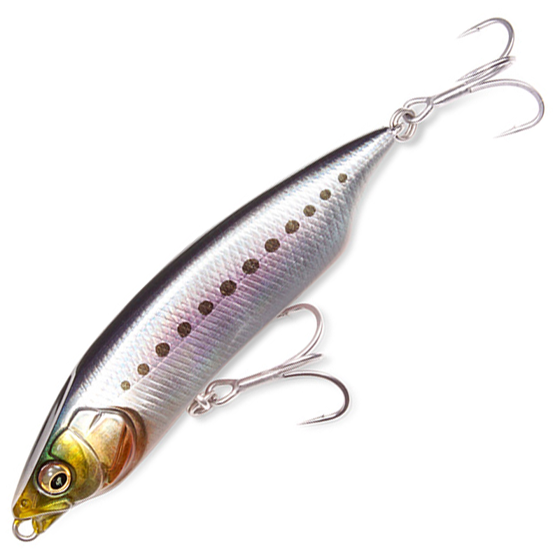 カラシ80SW [新品]