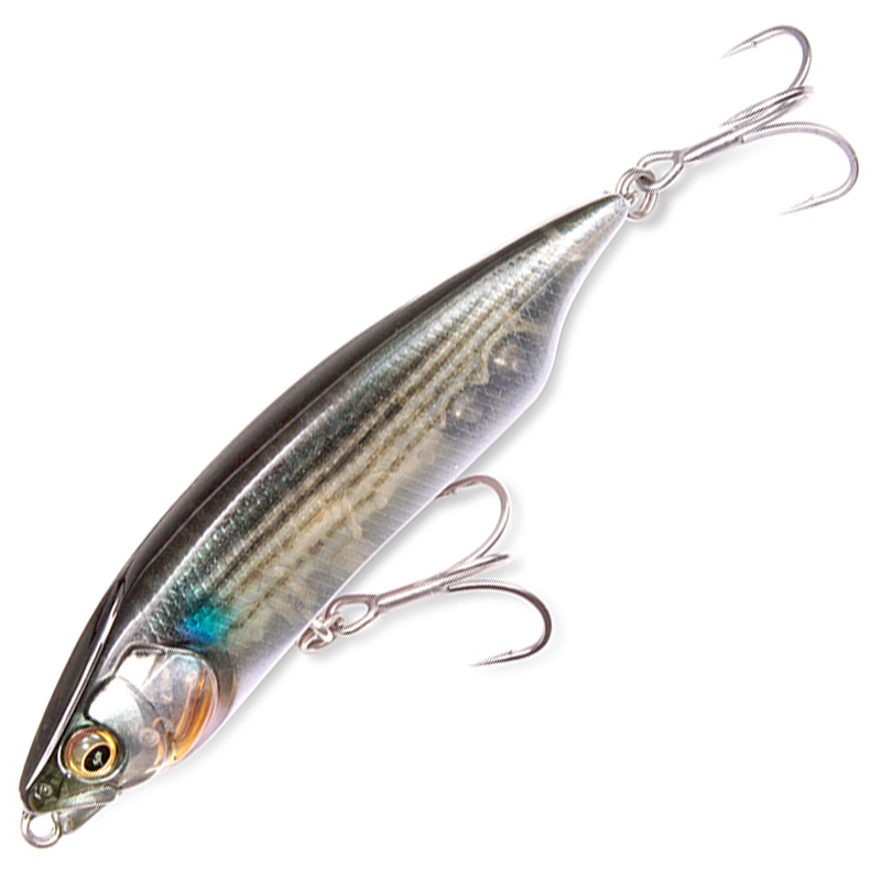 カラシ80SW [新品]