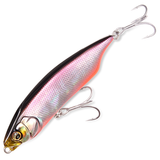 カラシ80SW [新品]