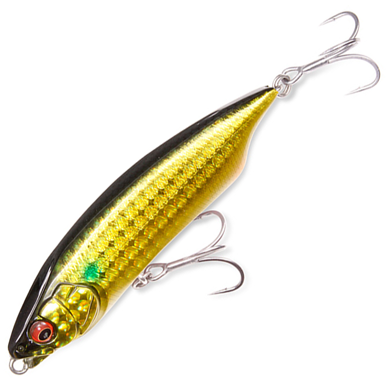 カラシ80SW [新品]