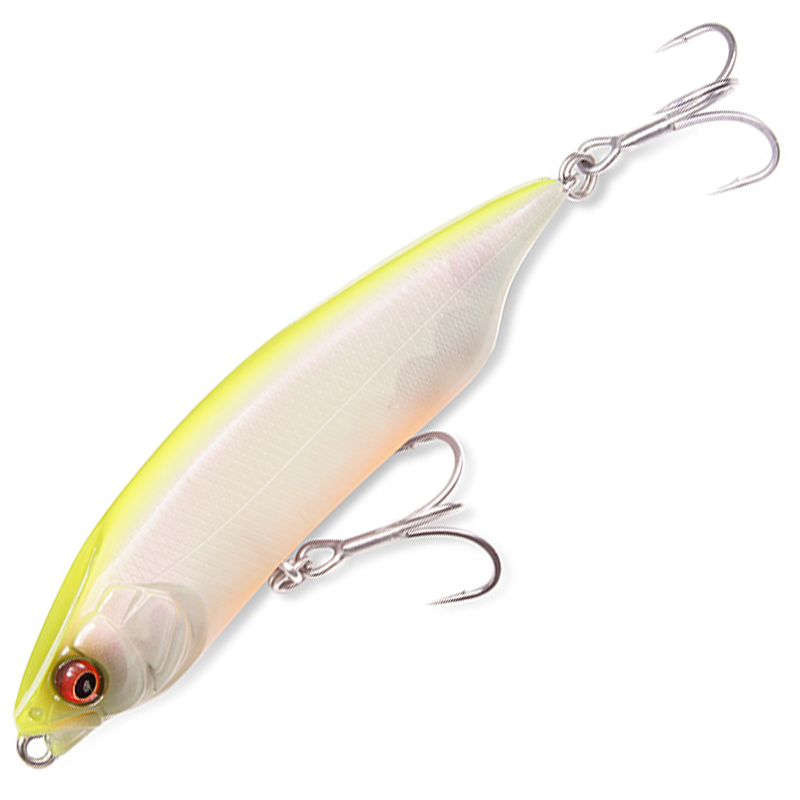 カラシ80SW [新品]