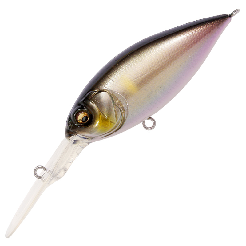 ディープX 300 [新品]