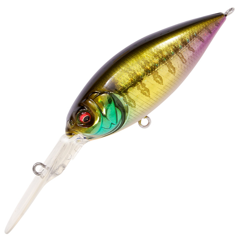 ディープX 300 [新品]