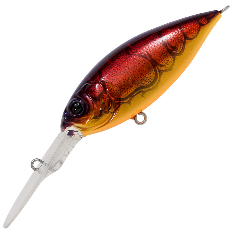 ディープX 300 [新品]