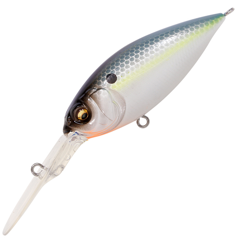 ディープX 300 [新品]