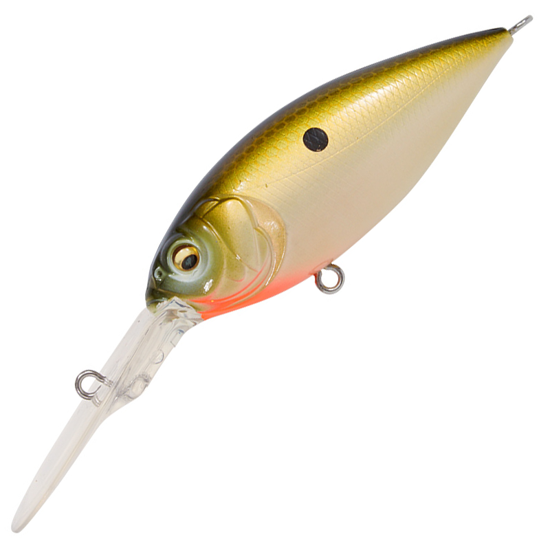 ディープX 300 [新品]