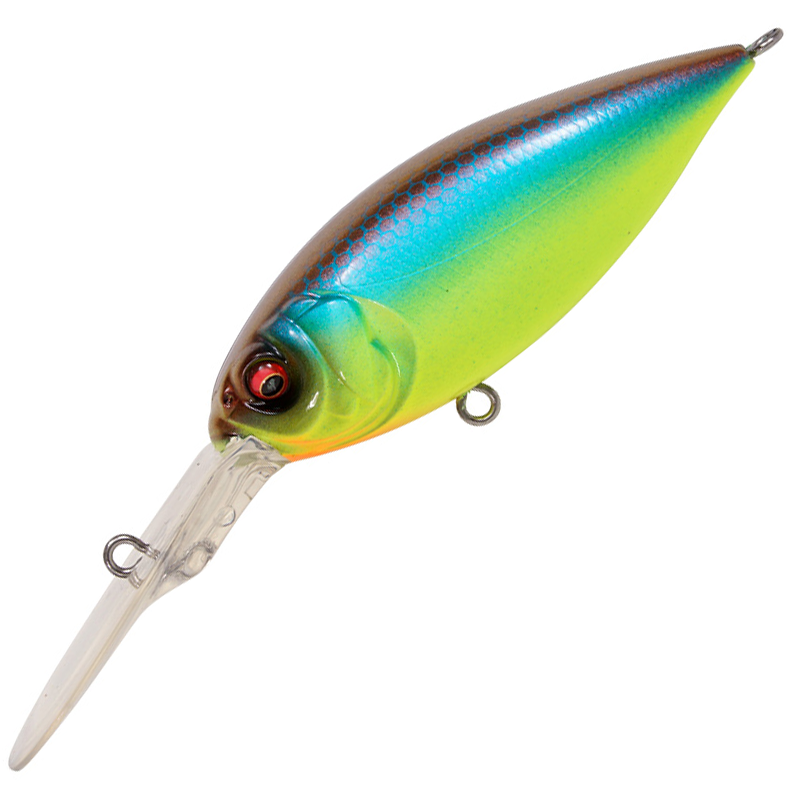 ディープX 300 [新品]