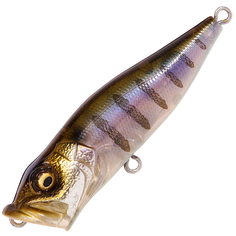 ポップX [新品]