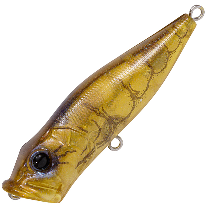 ポップX [新品]