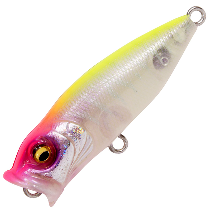 ベイビー ポップX [新品]