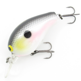 ジェロニモ チコ [新品]