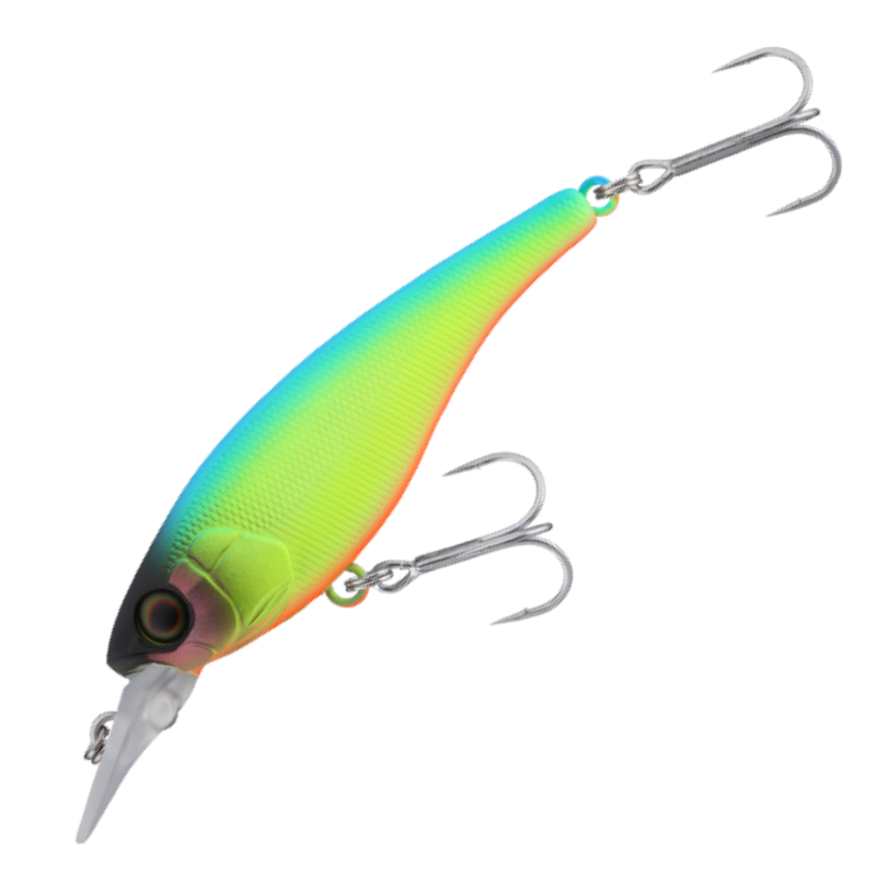 a.h.p.l. / ネズミボーヤ ミズノ プロテクティブスニーカー オールマイティ