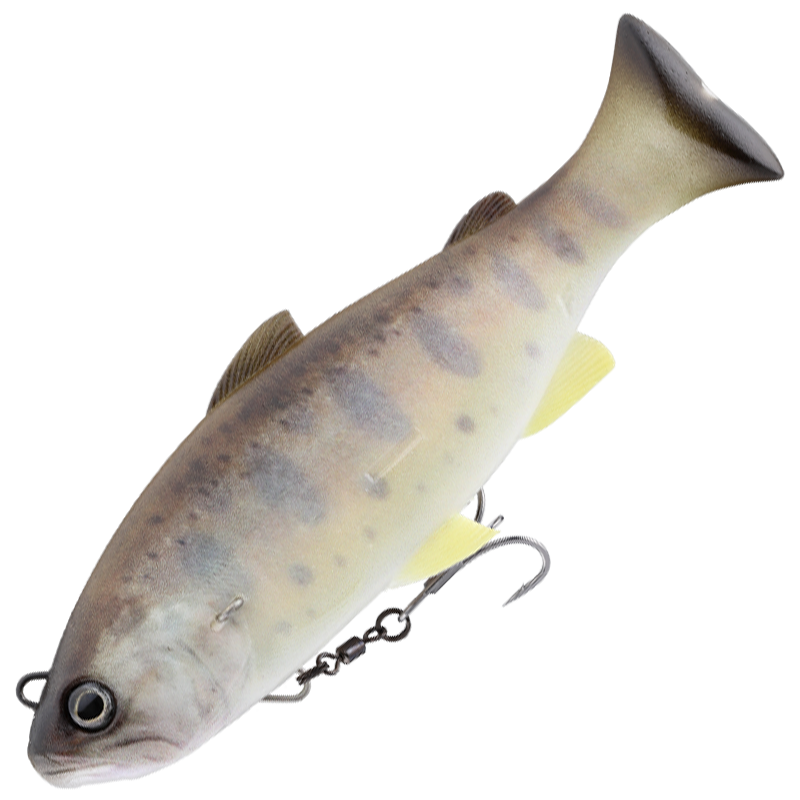ヴィヴィダス [新品]