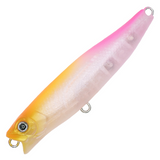 G.C.ワカペン 55 [新品]