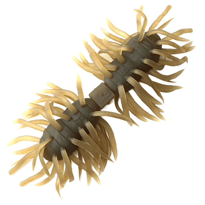 ヘアリースパイダー クジャラ 160 [新品]