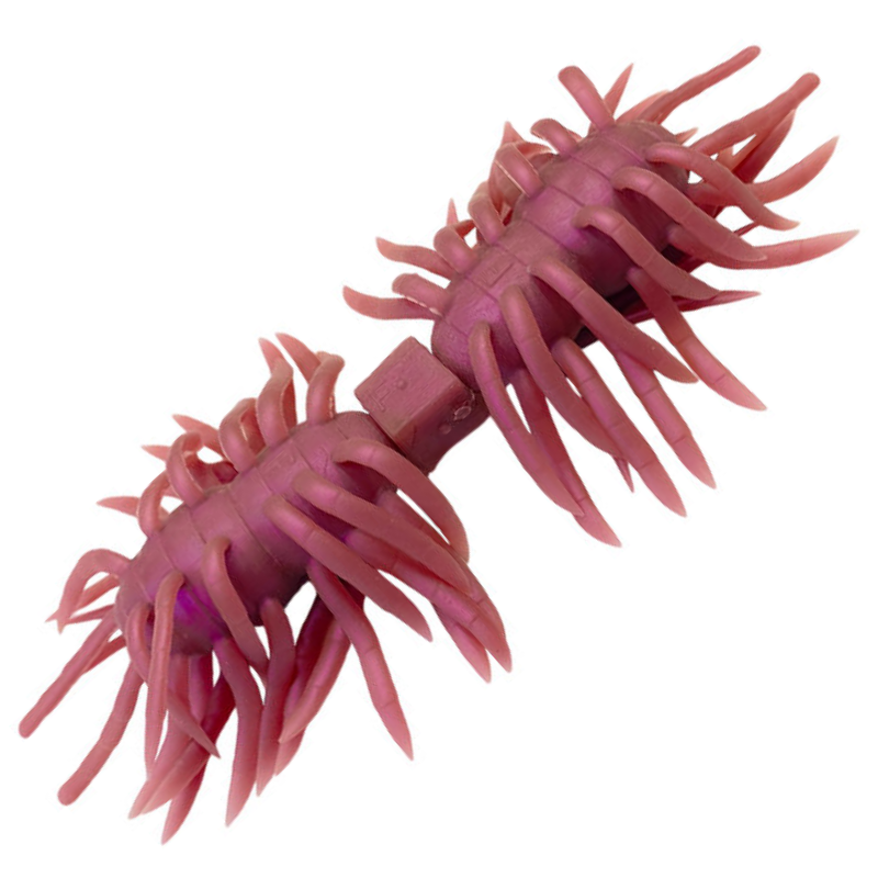 ヘアリースパイダー クジャラ 160 [新品]