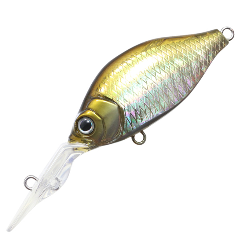G.C.カネヒラシャッド 46MR-SP [新品]