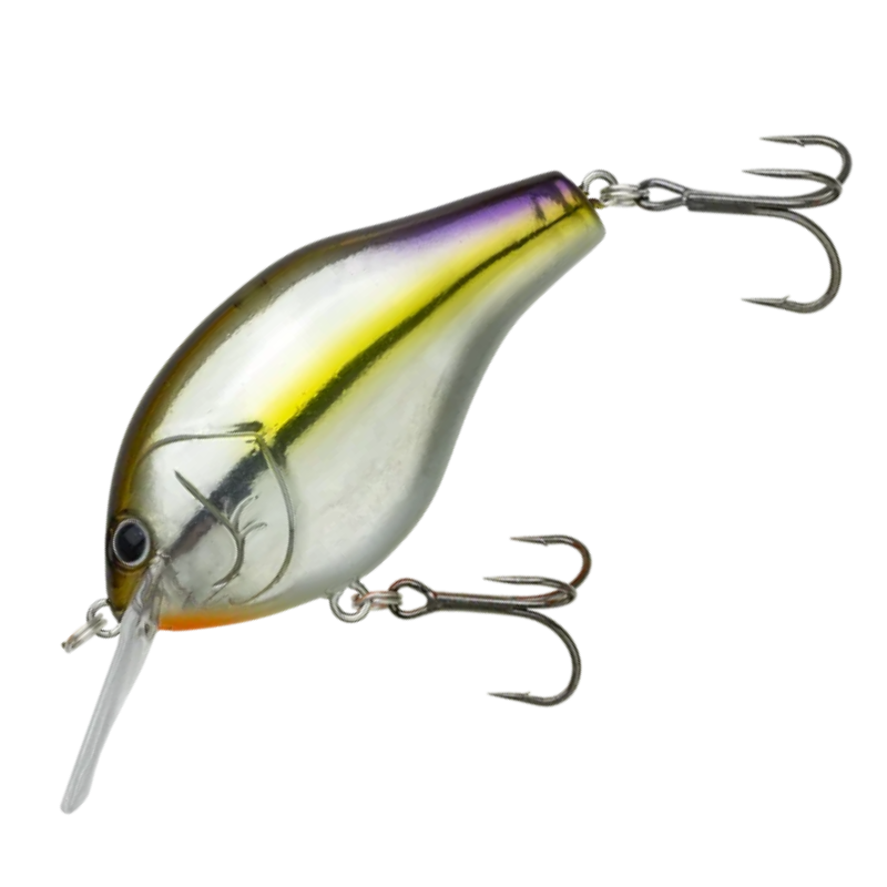 RAIDJAPAN 漆黒セット ダッチ デカダッチ スクラッチ レベル RAIDJAPAN 漆黒セット ダッチ デカダッチ スクラッチ レベル