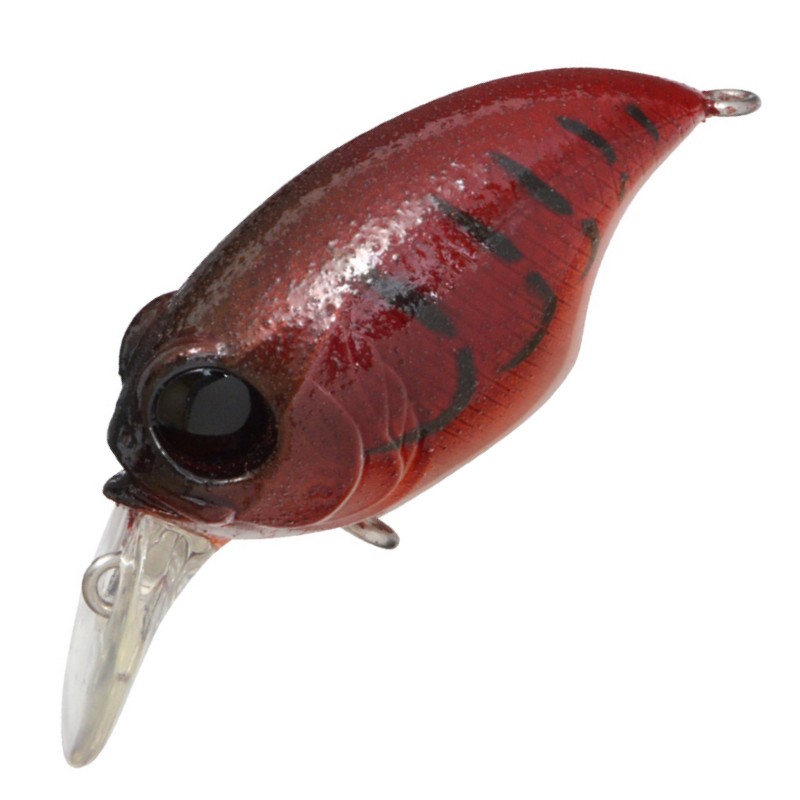 カイルス・グリフォン 3枚 カイルスグリフォン 3枚 状態B〕(2024/11)頂天神帝カイルス