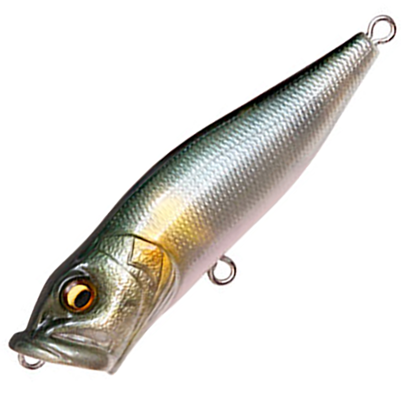 真*双様 メガバス キープキャスト 2019限定 POPMAX POP-X セッ 真*双様 メガバス キープキャスト 2019限定 POPMAX POP-X セッ