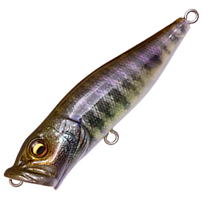 メガバスPOPX DRIP CAMO 3種類 メガバスPOPX DRIP CAMO 3種類 メガバスPOPX DRIP CAMO 3種類 メガバスPOPX DRIP CAMO 3種類