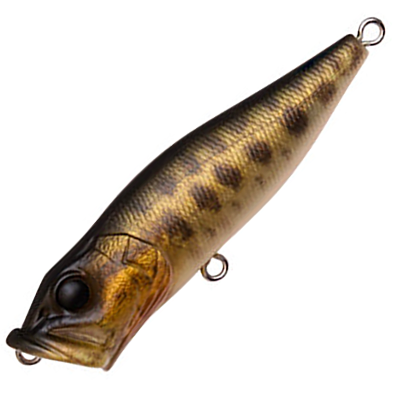 メガバス ito ポップX 初回出荷分 GG AARON OB 新品未開封 メガバス メガバス ito ポップX 初回出荷分 GG AARON OB 新品未開封 メガバス