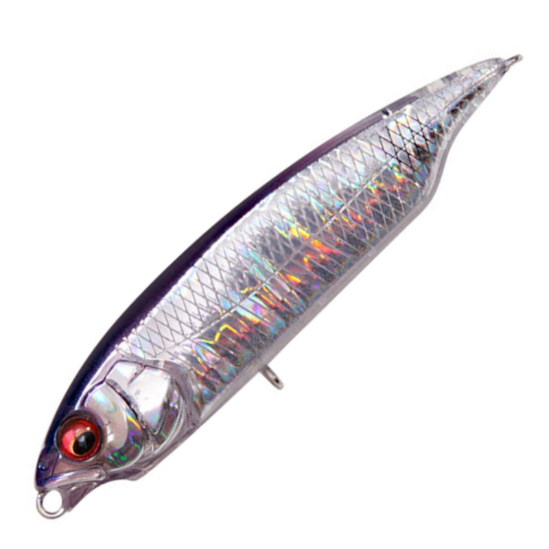 カラシSW FS [新品]