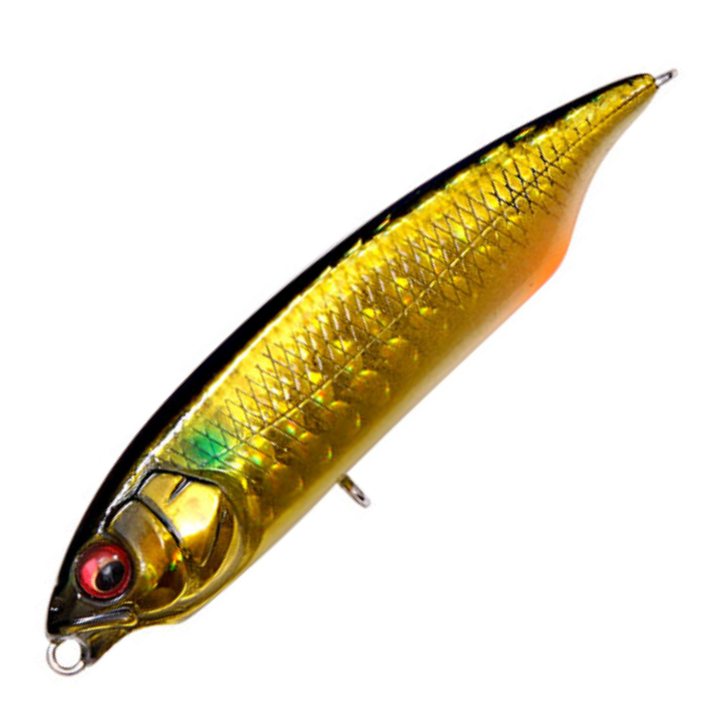 カラシSW FS [新品]