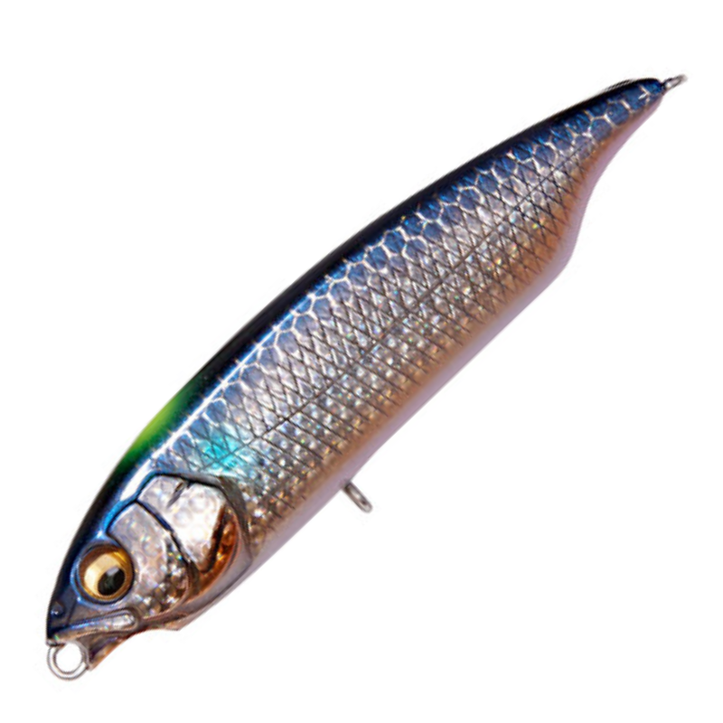 カラシSW FS [新品]