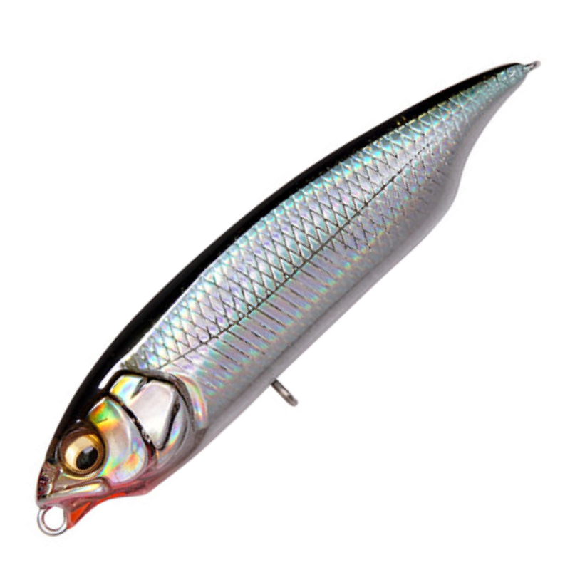 カラシSW FS [新品]