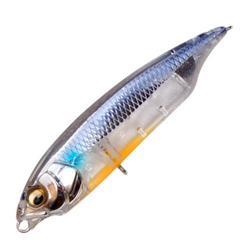 カラシSW FS [新品]