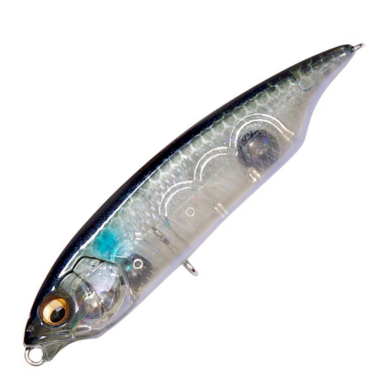 カラシSW FS [新品]