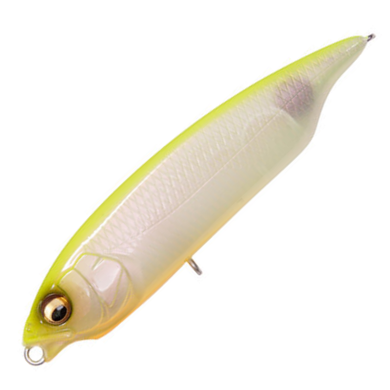 カラシSW FS [新品]