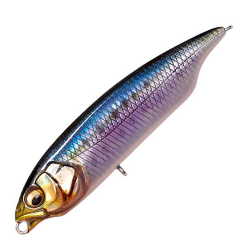 カラシSW FS [新品]