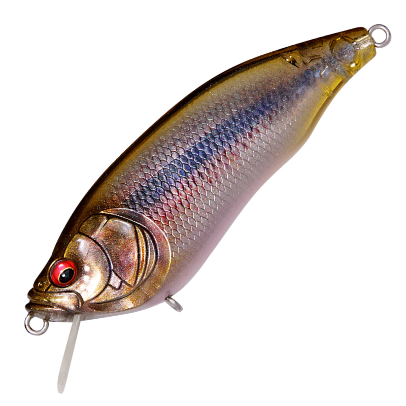 ②メガバスIXI SHAD TYPE-R 15個 ②メガバスIXI SHAD TYPE-R 15個